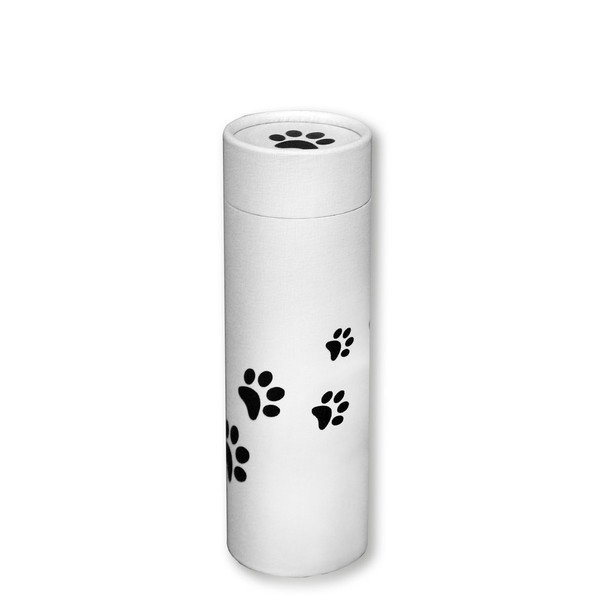Paws Scattering Small Biodegradable Urn